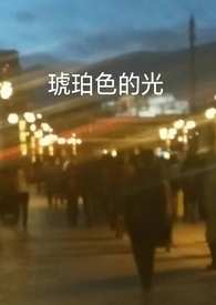 琥珀色的篝火小说