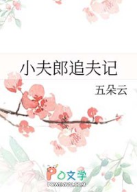 小夫郎替嫁日常免费阅读全文